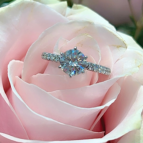 The Jewelry Store 5