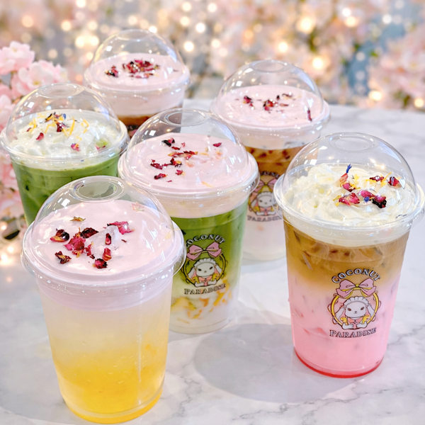Coconut Paradise - Dessert Shop 3