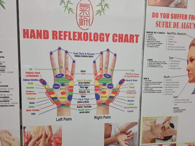 Chikung Reflexology 4