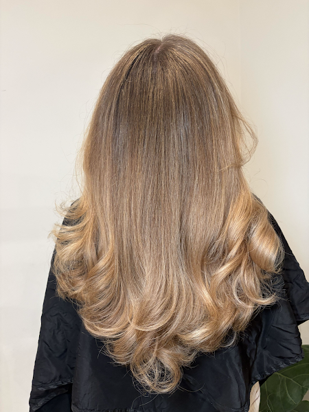 Maven Fort Worth Hair Co. 3