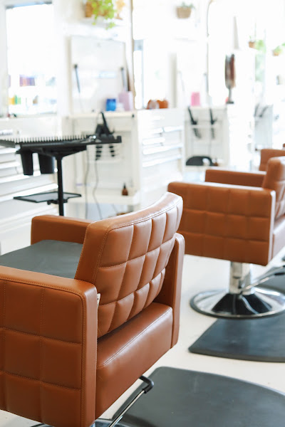 Dwell Studio Salon