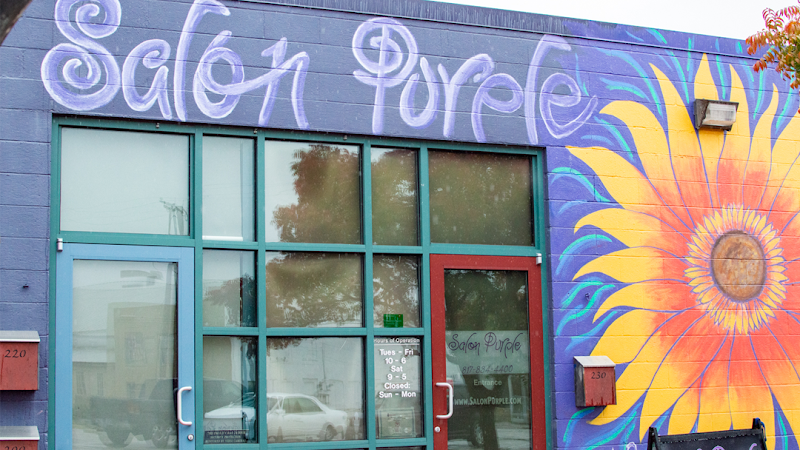 Salon Purple
