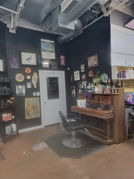 Salon Purple 4