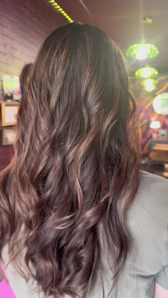 BB 63 Salon 2