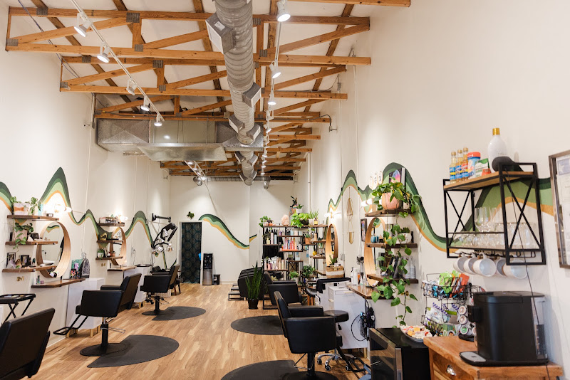 The Stargazer Salon 2