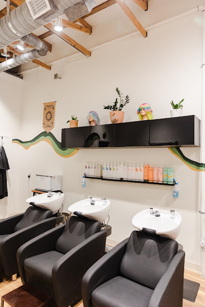 The Stargazer Salon 3