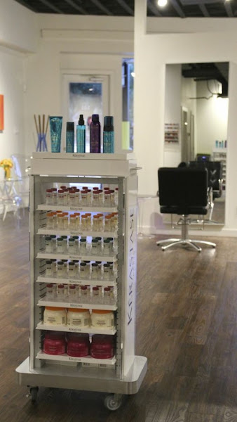 The Salon 3