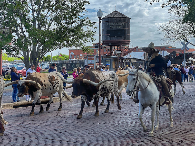 Destination Fort Worth 4