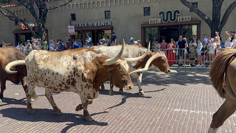 Stockyards Trading Post 4
