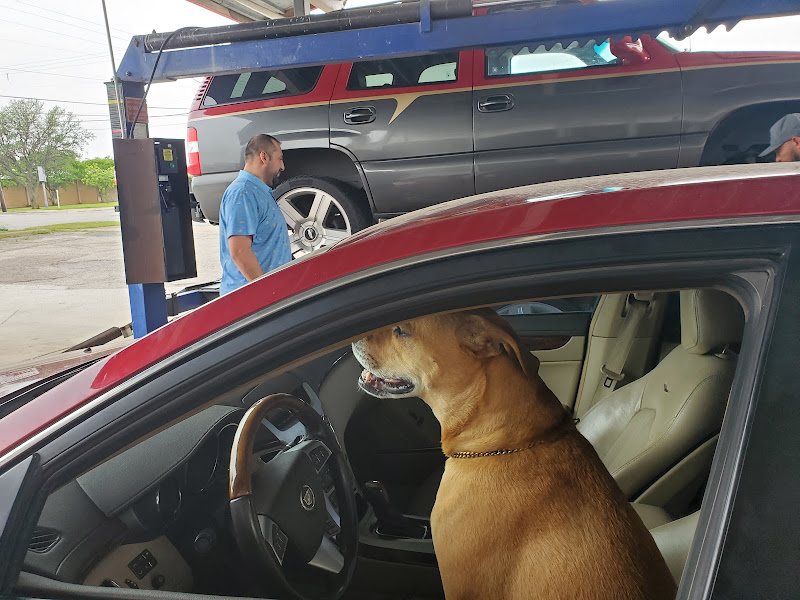 FOREIGN AND DOMESTIC AUTO TECH 2