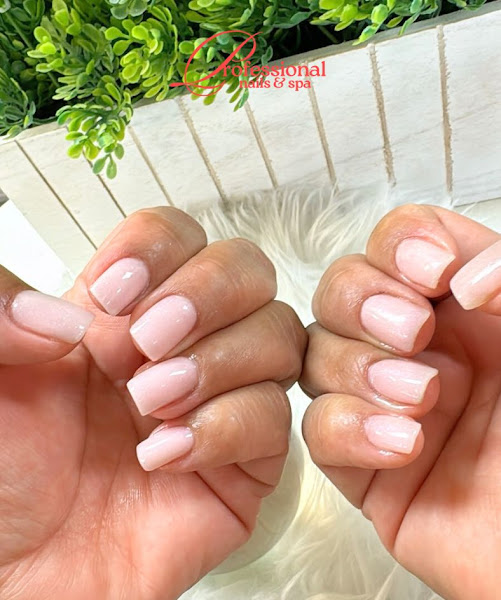 Professional Nails & Spa 3