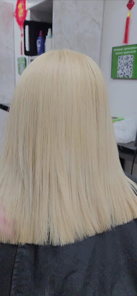 BAMBOO SALON 2