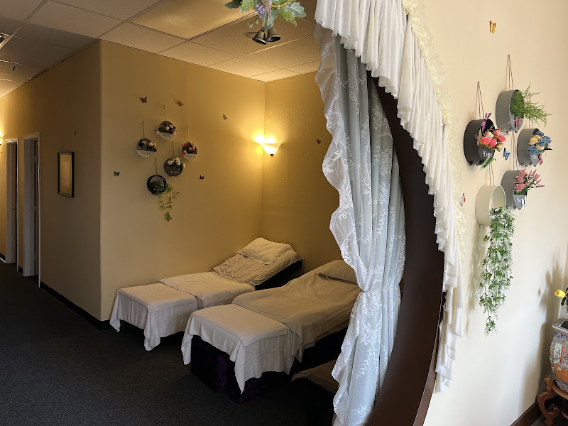 Amazing Body & Foot Massage 2