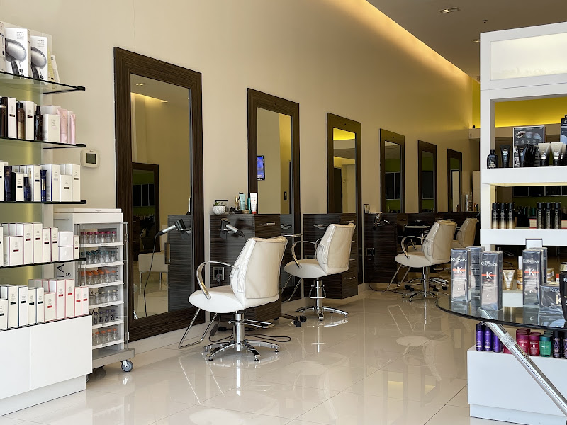 AALAM The Salon - Plano North Dallas TX 4