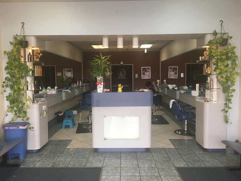 Desi Diva Salons 5