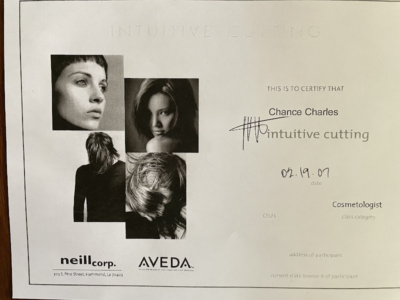 Chance Charles Salon 4