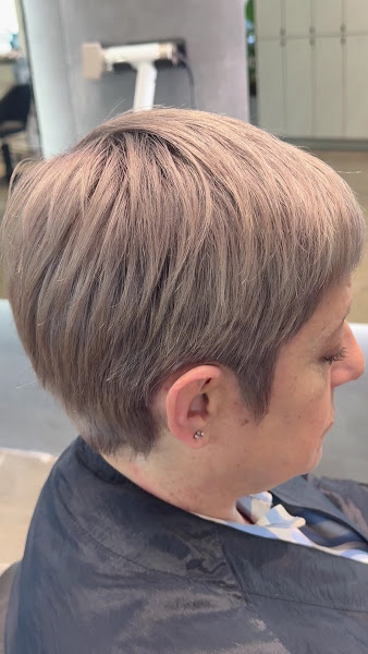 SALON LUME 3