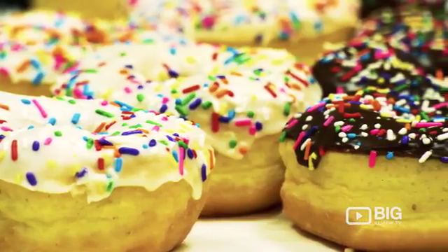 Sugar Land Donut Shop 2