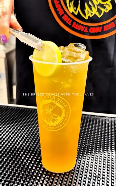 Tea Villa - Missouri City 4