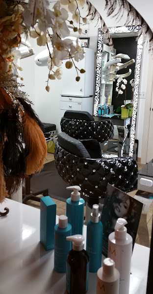 Oscar Sabha Salon 4