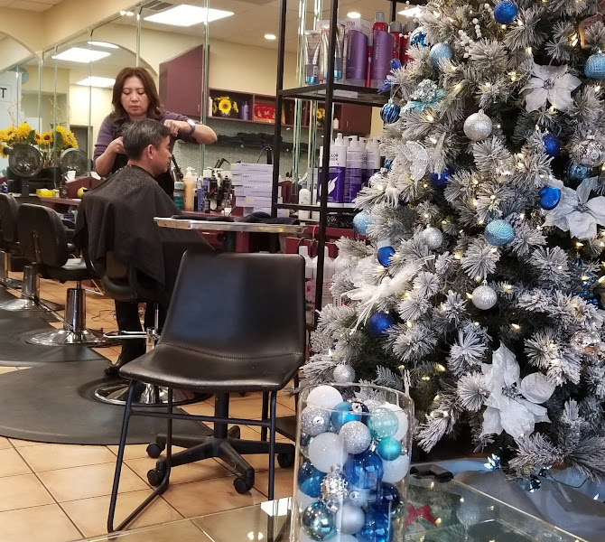 Salon 9 3