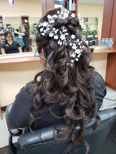 Fancy Salon