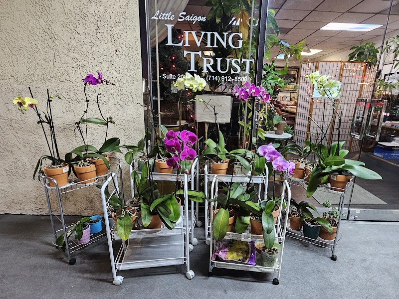 Little Saigon Living Trust 4