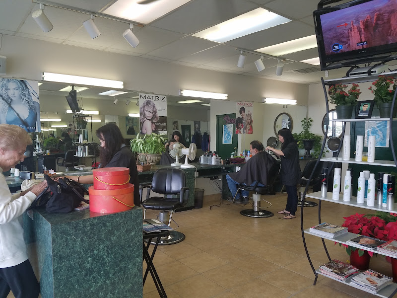 Hair Cuts Plus 2
