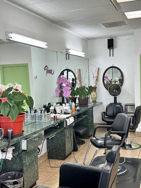 Hair Cuts Plus 3