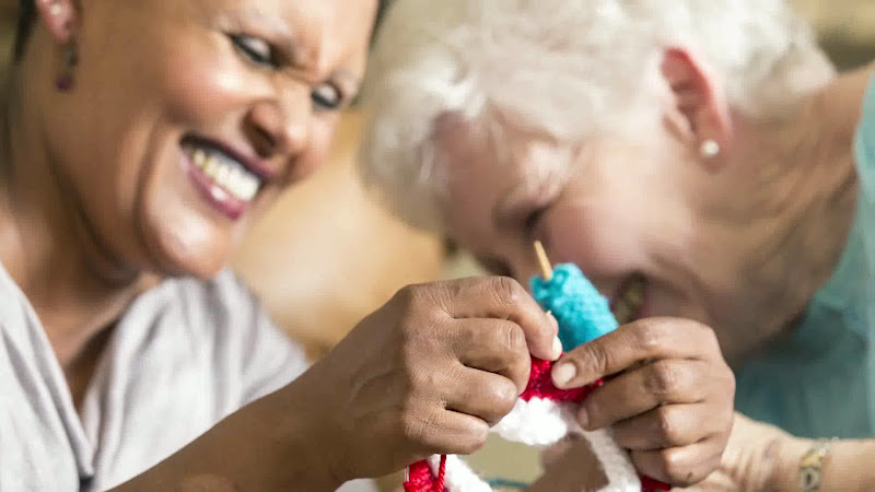 Homewatch CareGivers of Sugar Land 2