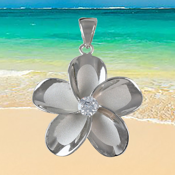 Hawaii Treasures Shop 2