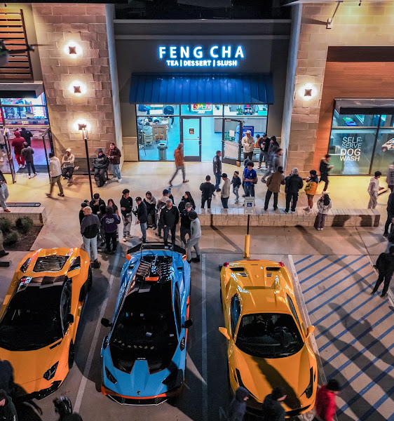 Feng Cha Tamarron 4
