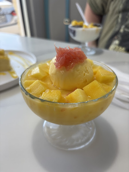 Mango Mango Dessert 4