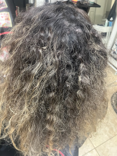 La Diva Hair Salon 2