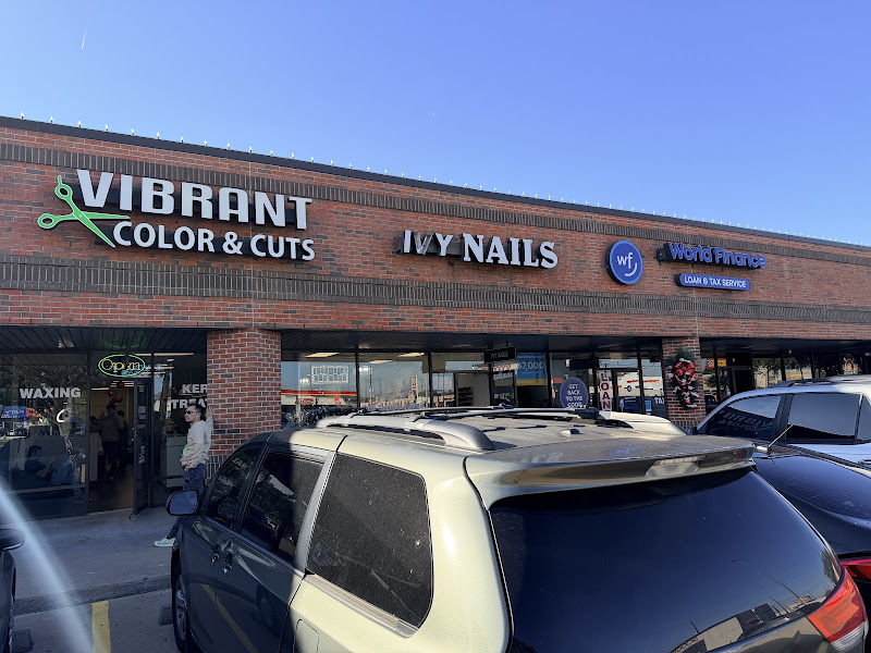 Vibrant Color & Cuts 3