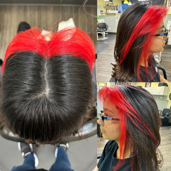 Vibrant Color & Cuts 5