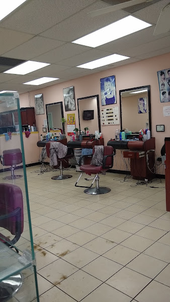Hair By Don 2