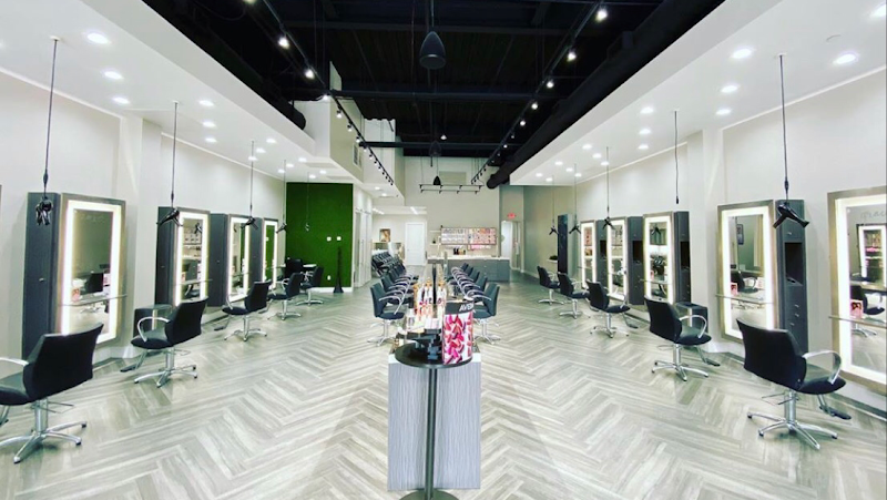 Aurea Salon 2