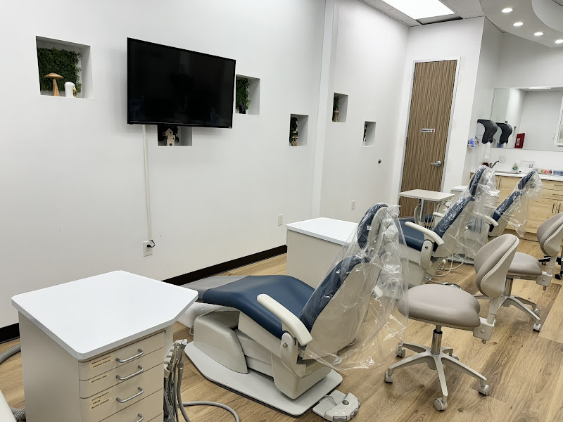 Home Dental 3