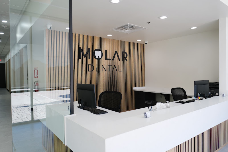Molar Dental 2