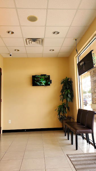 Magic Dental 1