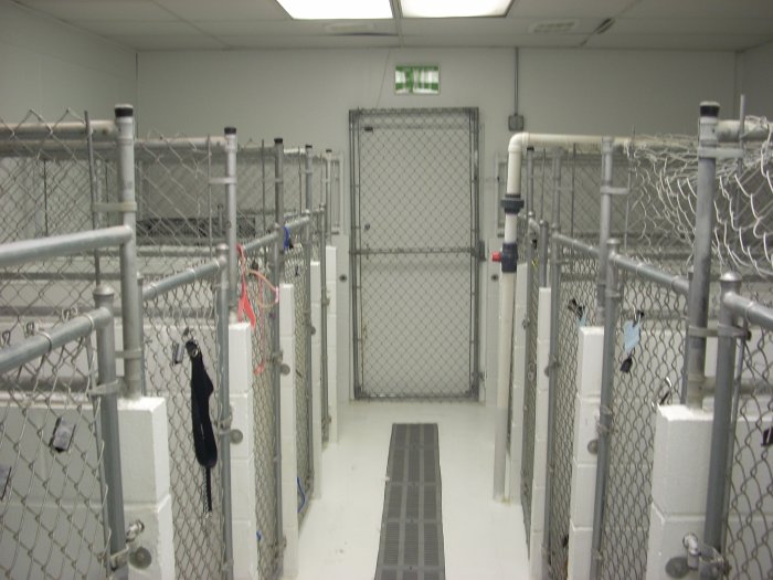 VCA Kelliwood Animal Hospital 4