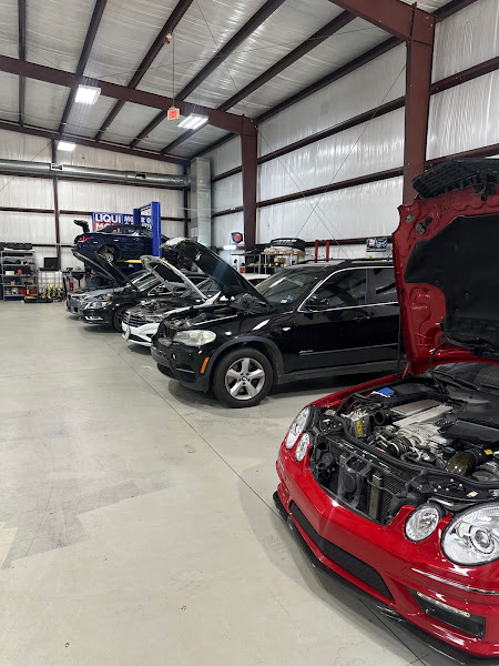 Euro Logik - European Auto Repair 3