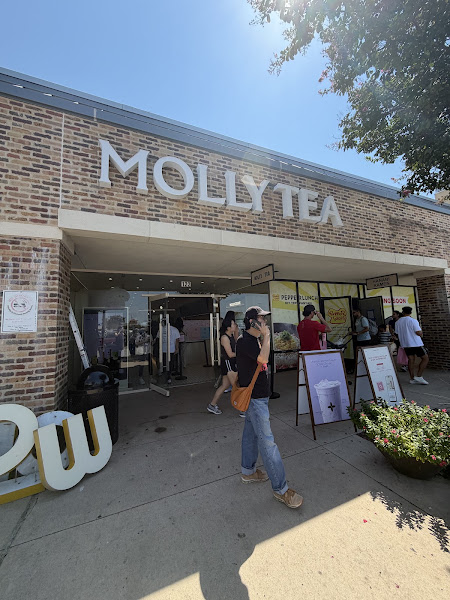 Molly Tea (Carrollton) 5