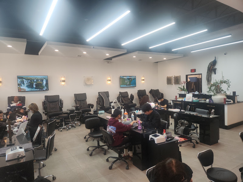 NINI NAIL BAR | Farmers Branch 4