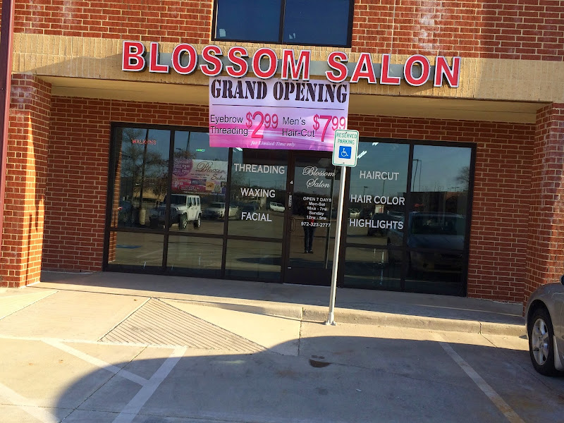 Blossom Salon 5