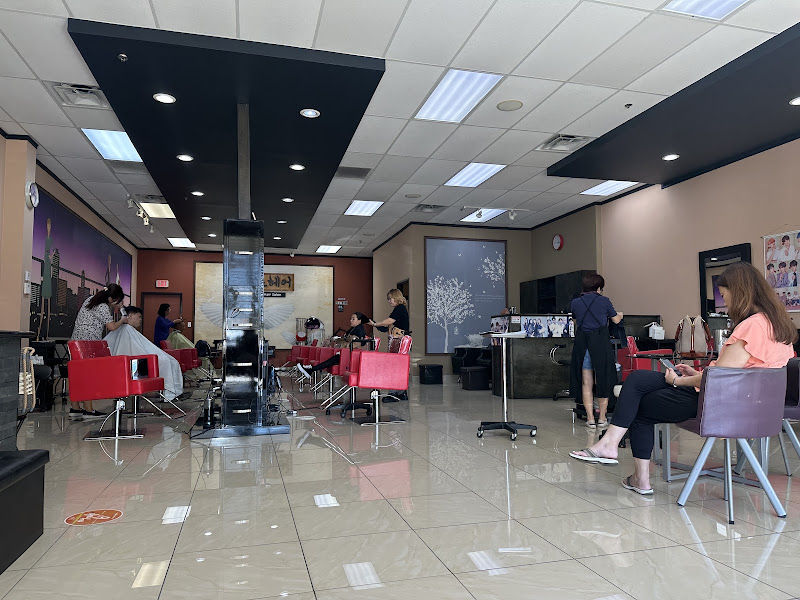 Muse Hair Salon 4