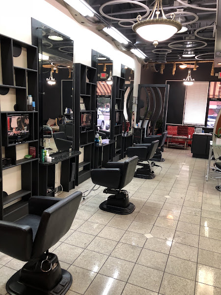 The One Hair Gallery