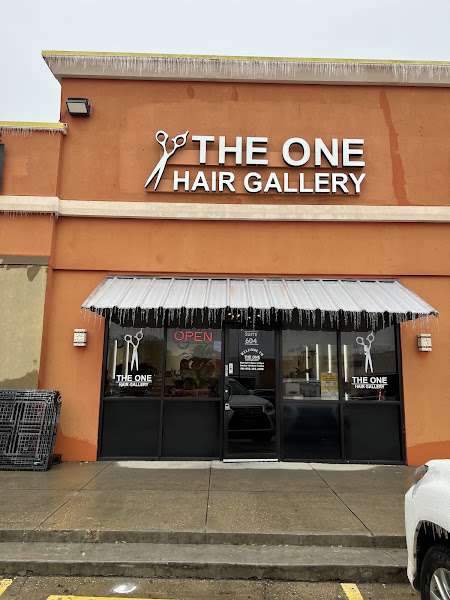 The One Hair Gallery 2