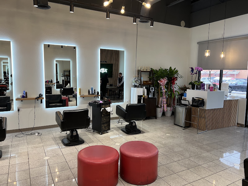 The One Hair Gallery 3